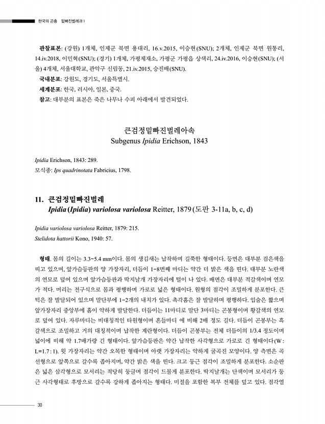 30페이지