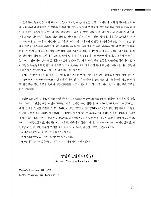 31페이지