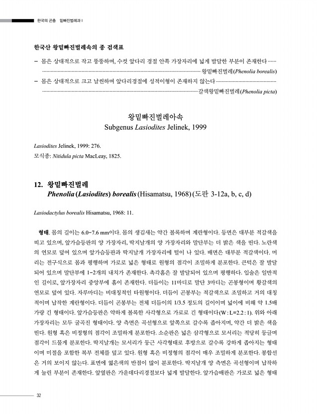 32페이지
