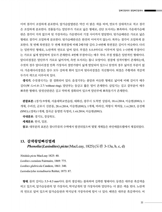 33페이지