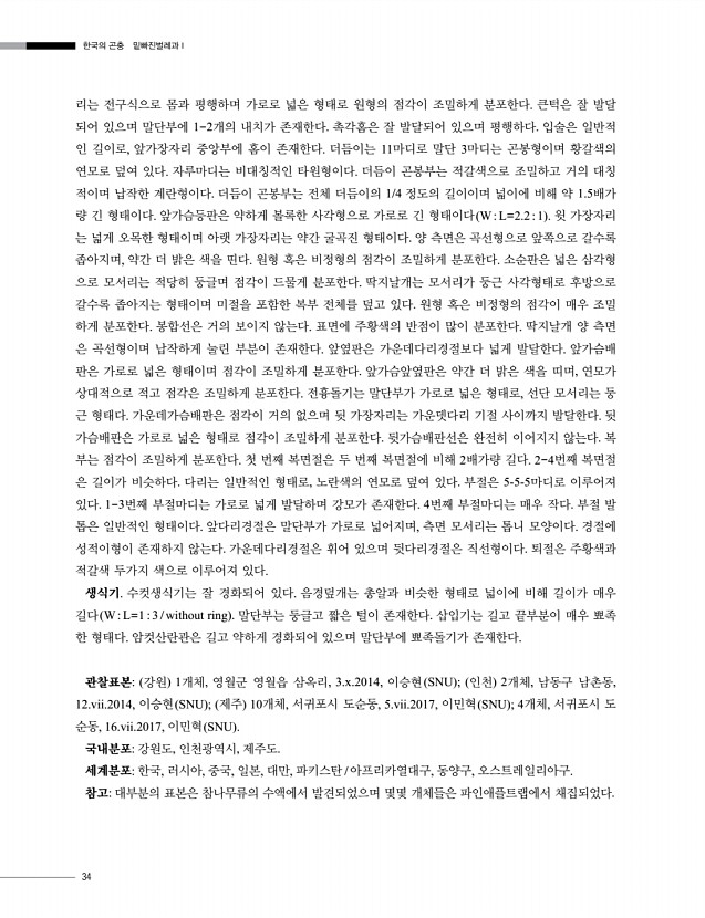 34페이지