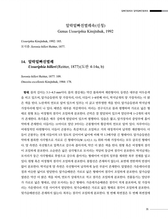35페이지