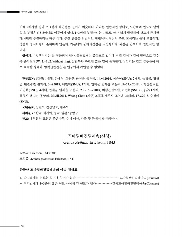 36페이지