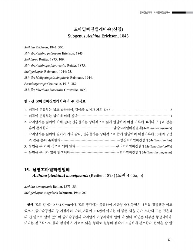 37페이지
