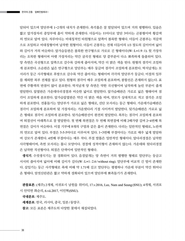 38페이지