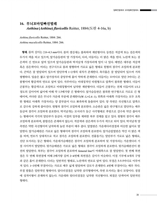 39페이지