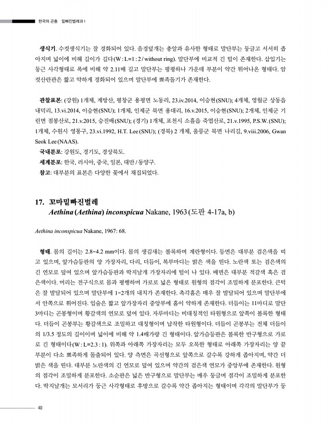 40페이지