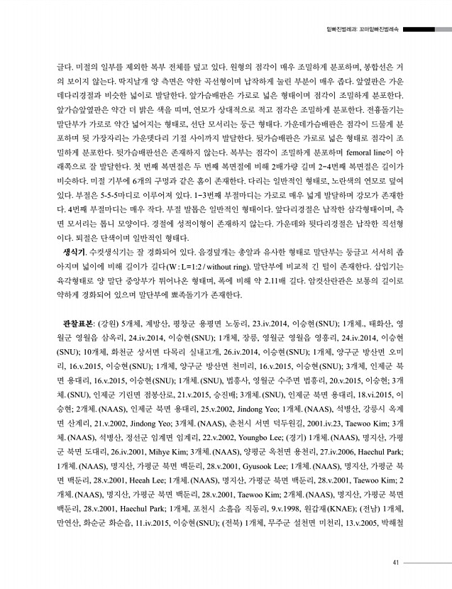 41페이지