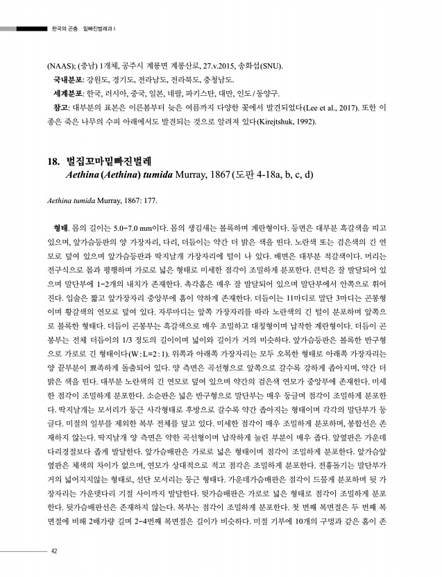 42페이지