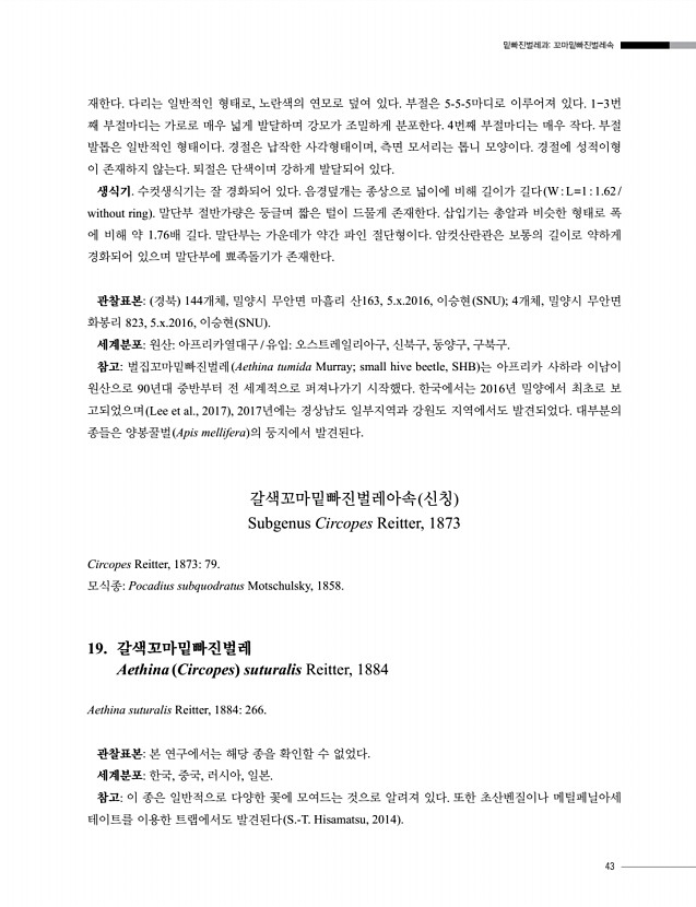 43페이지