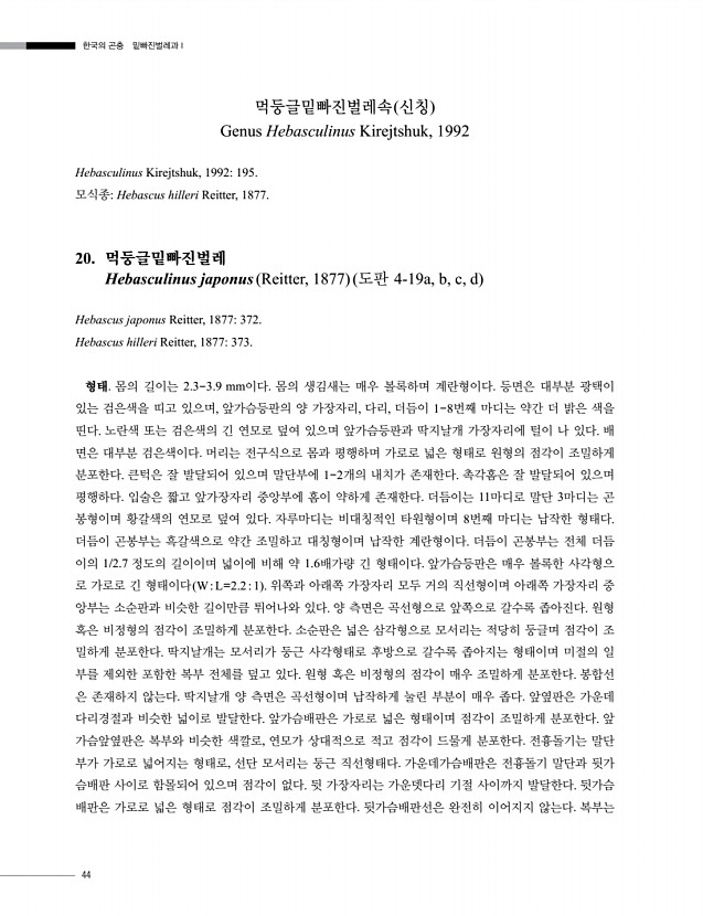 44페이지