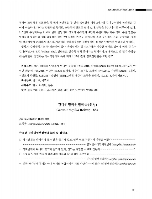 45페이지