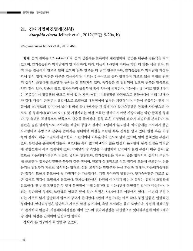 46페이지