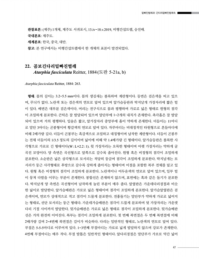 47페이지