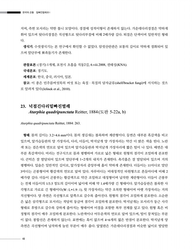 48페이지