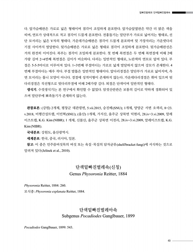 49페이지