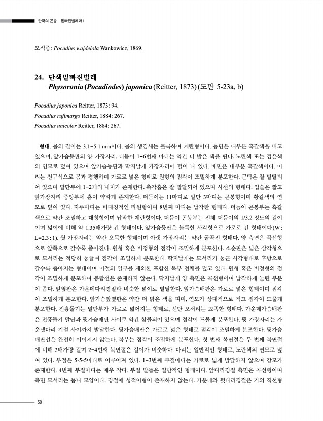 50페이지