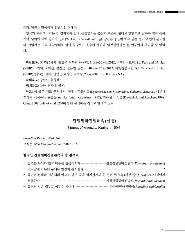 51페이지