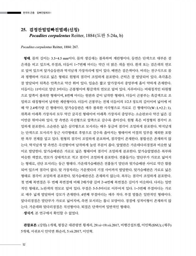 52페이지