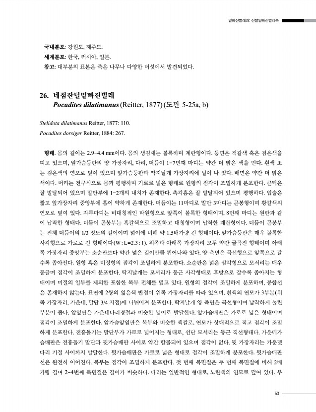 53페이지