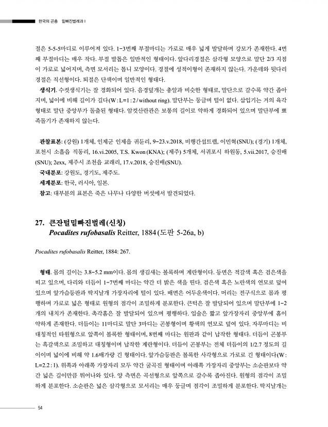 54페이지