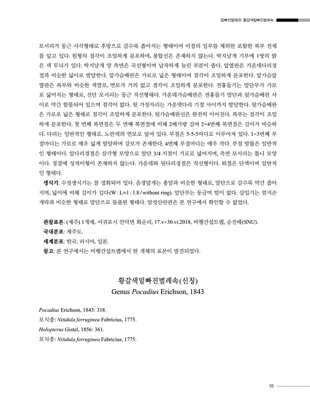 55페이지
