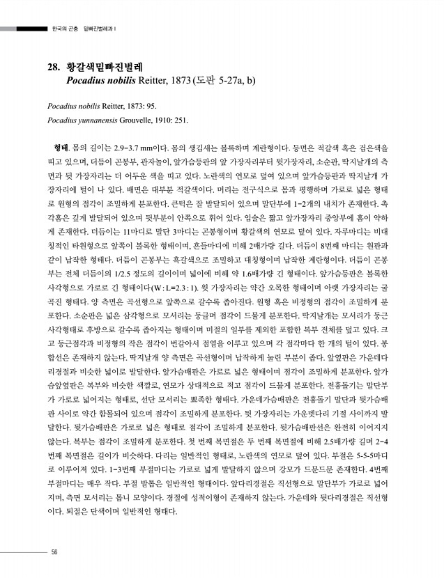 56페이지
