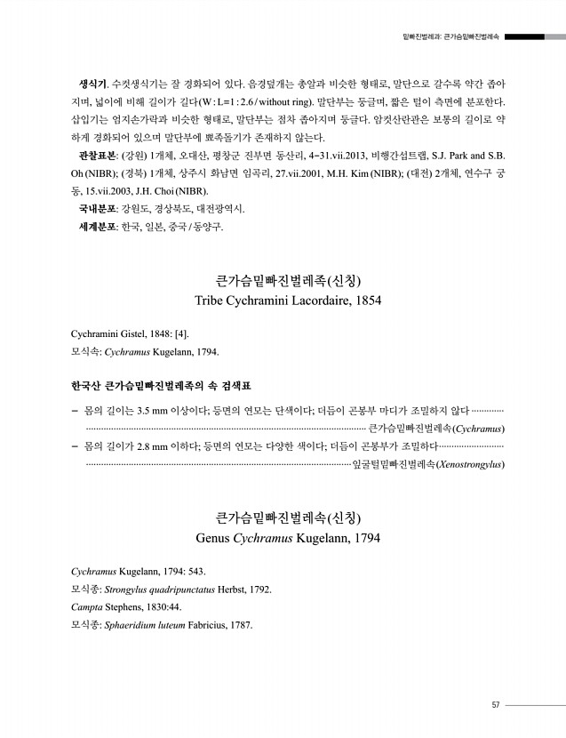 57페이지