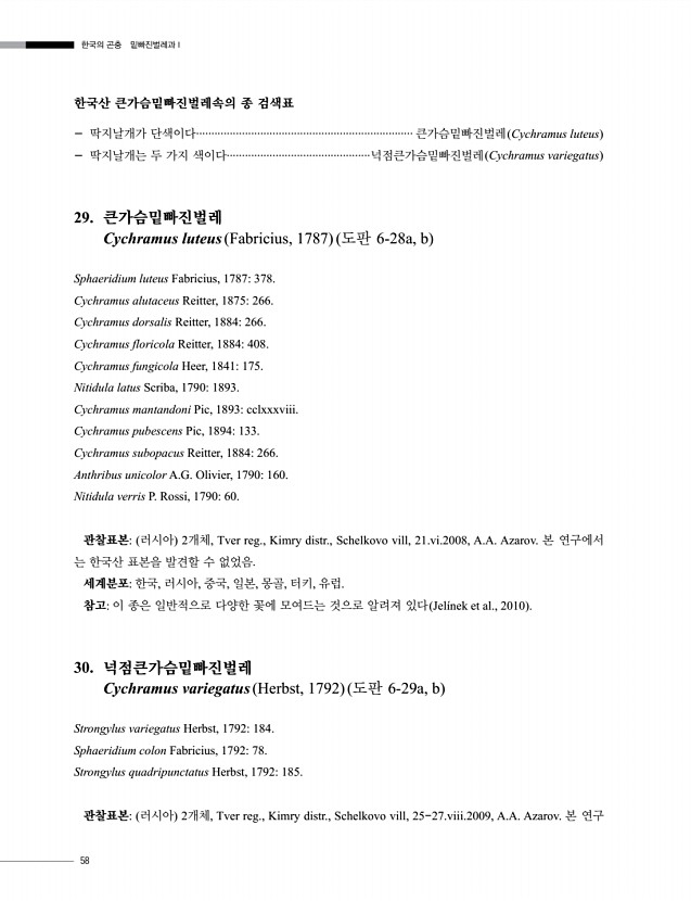 58페이지