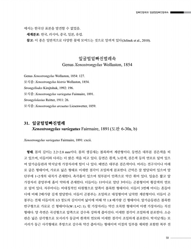 59페이지