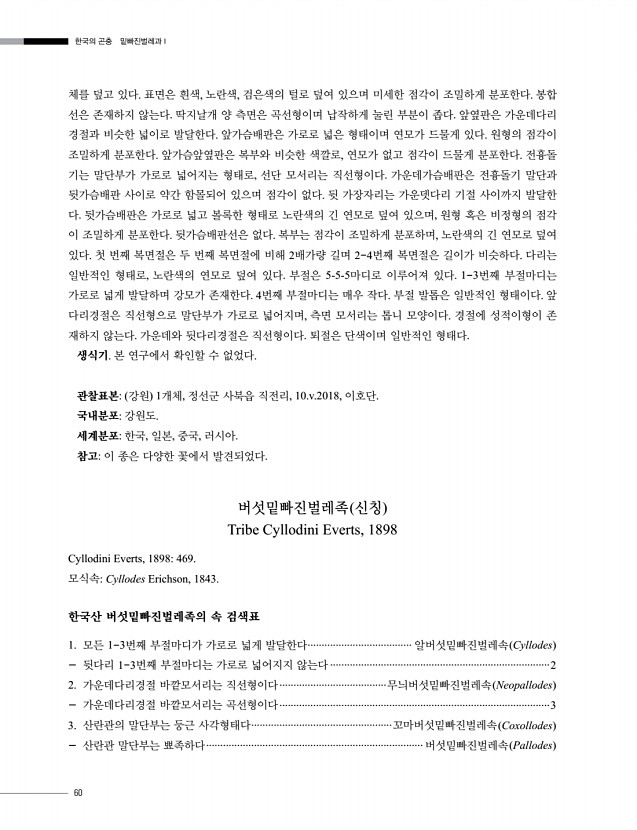 60페이지
