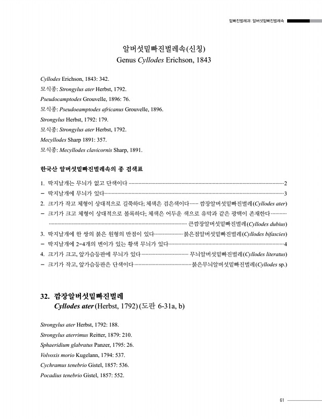 61페이지