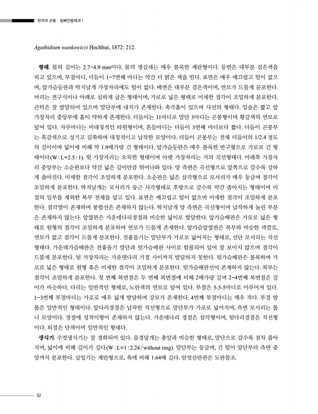62페이지