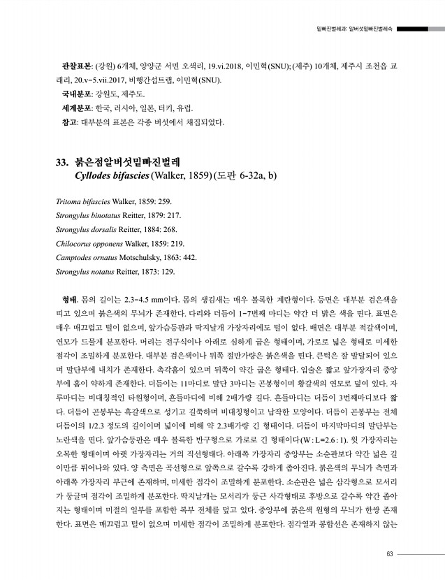 63페이지