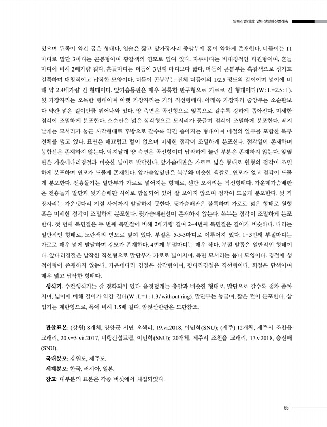 65페이지