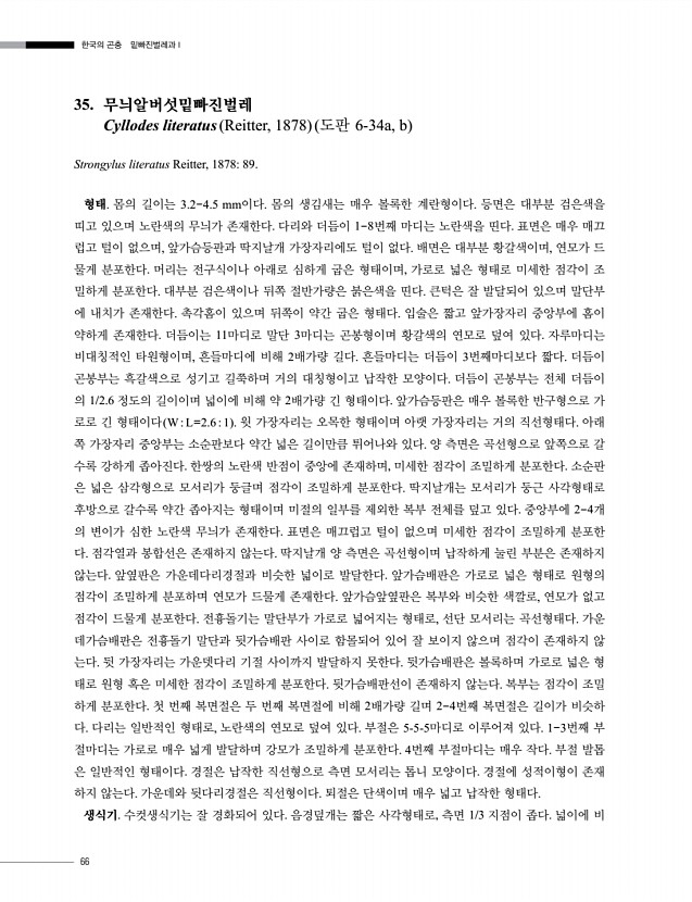 66페이지