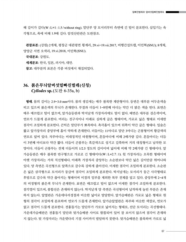 67페이지