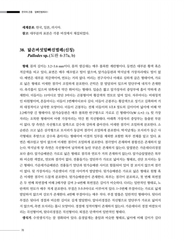 70페이지