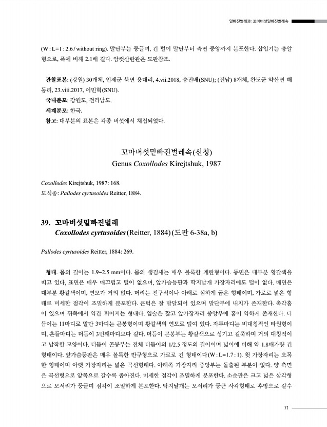 71페이지