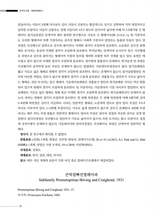 76페이지