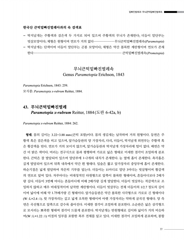 77페이지