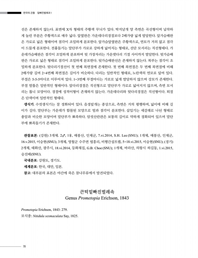 78페이지
