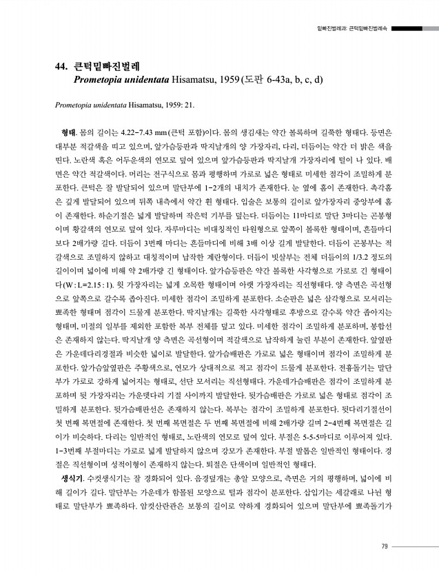 79페이지