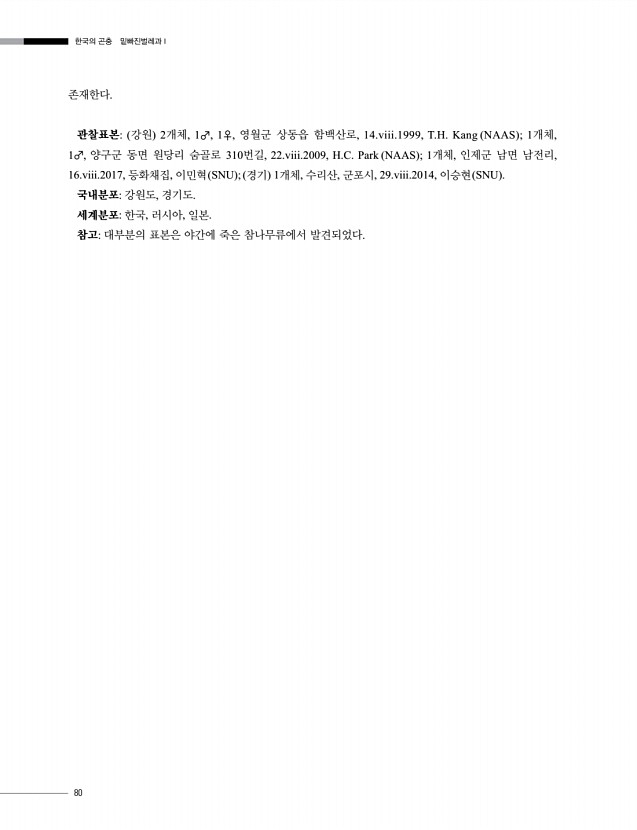 80페이지