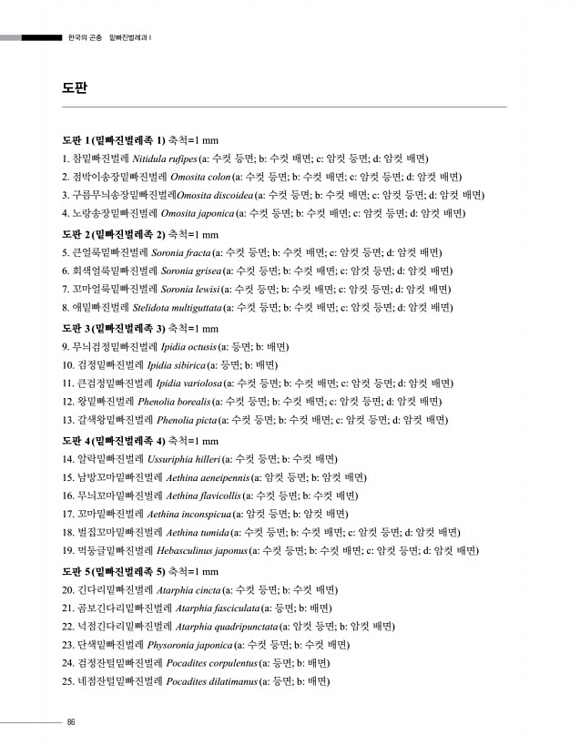 86페이지
