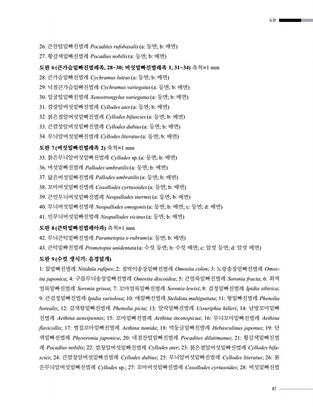 87페이지