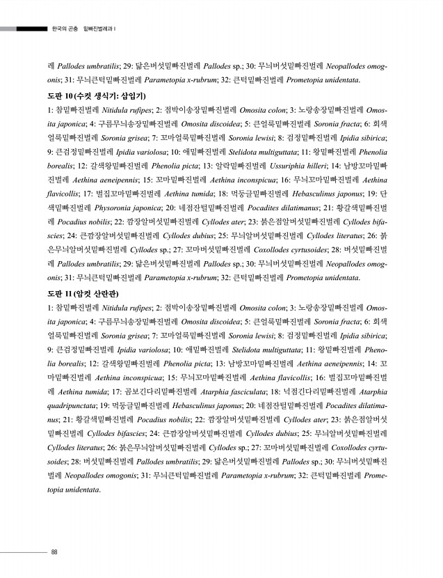 88페이지