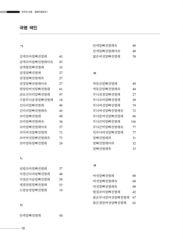 100페이지