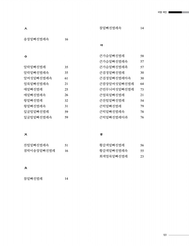 101페이지