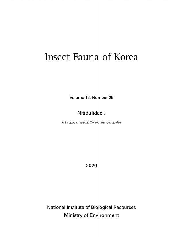 페이지